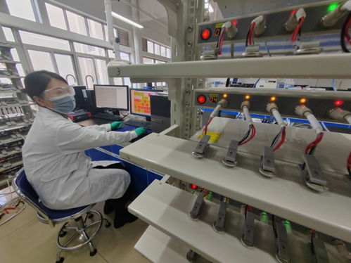 中國首創！洛陽牡丹殼變廢為寶，開啟鈉電池負極材料新紀元